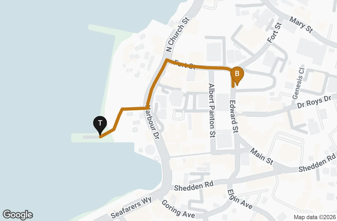 Map of central George Town. T marks the tender landing on the waterfront, and an amber line follows Harbour Drive north then Fort Street east to B, the bus depot on Edward Street.